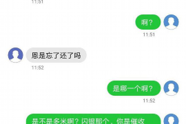 株洲株洲的要账公司在催收过程中的策略和技巧有哪些？